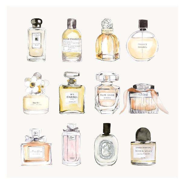 como-se-elige-un-nuevo-perfume-ivonne-bellec